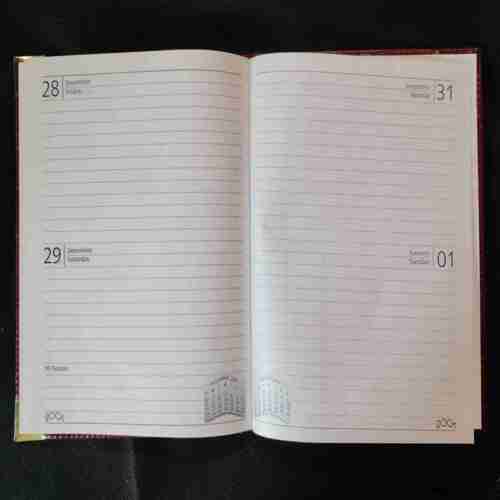 Diary 2001