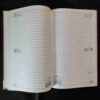 Diary 2001