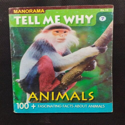 Tell Me Why ( April 2007 ) .