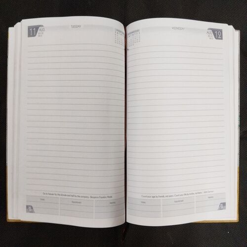 Diary ( 2020 ) .