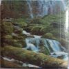 Photo Album (No. 8)