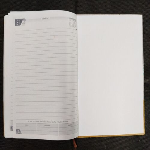 Diary ( 2020 ) .