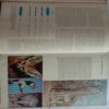 The International Encyclopedia Of Science (Volume 1: A to D)