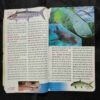 Hansti Duniya ( July 2019)
