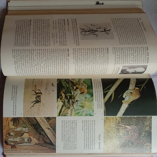 The International Encyclopedia Of Science (Volume 3 : M to R)