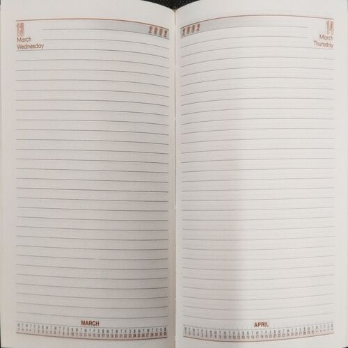 Diary ( 2002 ) .