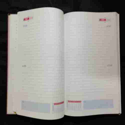 Diary2010