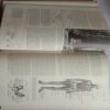 The International Encyclopedia Of Science (Volume 4 : S to Z)