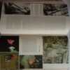 The International Encyclopedia Of Science (Volume 4 : S to Z)