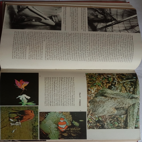 The International Encyclopedia Of Science (Volume 4 : S to Z)