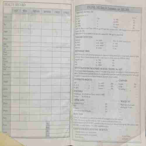 Diary2002