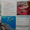 India Today Travel Plus (April 2009)