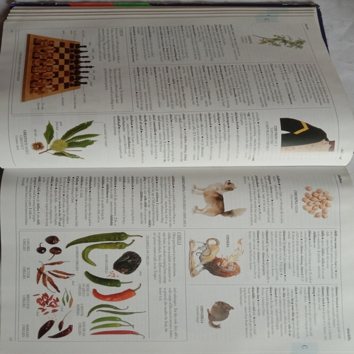 Illustrated Oxford Dictionary