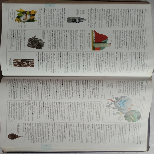 Illustrated Oxford Dictionary