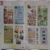 Champak ( May 1st 2017 ) (Big size)