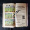 (INDRAJAL COMICS) (SINGLE BINDING 10 IN 1), 1.>THE SECRET OF THE BLUE MOUNTAIN, 2.>THE GREEN-EYED MONSTER (PART-1), 3.>THE GREEN-EYED MONSTER (PART-2), 4.>THE MILLION DOLLAR RANSOM, 5.>THE CONSPIRATORS' WEB (PART-1), 6.>SATAN'S DISCIPLES (PART-1), 7.>THE HORROR DUNGEONS, 8.>MAGNON'S GLORIOUS REIGN (PART-1), 9.>THE VICTIM AT DAREHOUSE, 10.>THE CHATEAU OF INTRIGUES