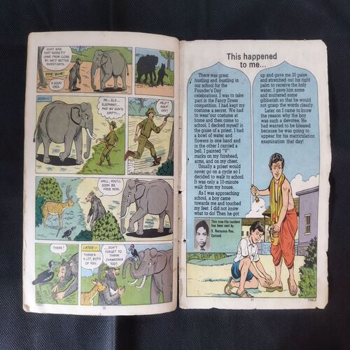 THE DONKEY SELLER (COVER LESS)