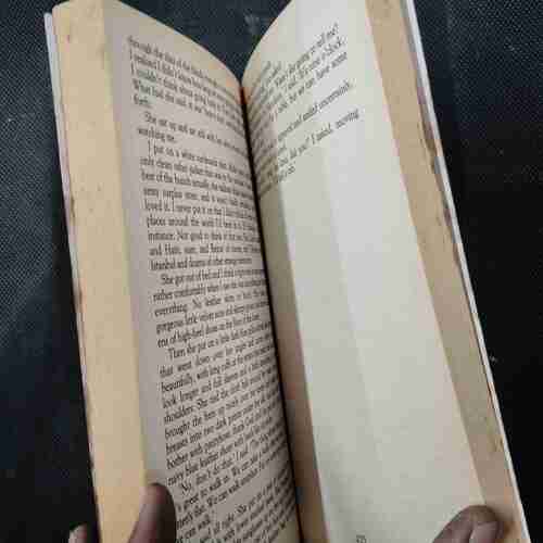 Anne Rice .
