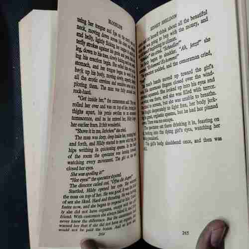 Sidney Sheldon Bloodline .