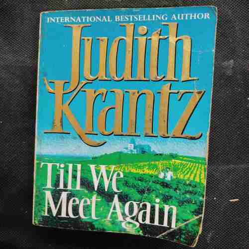 Judith Krantz Till We Meet Again .