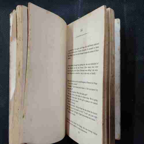 Sidney Sheldon Nothing Lasts Forever .