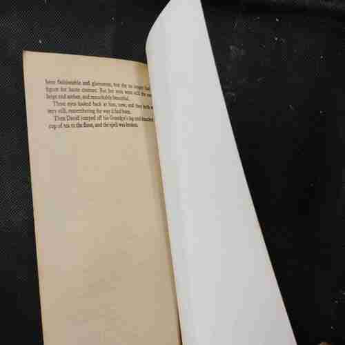 Ken Follett Eye Of The Needle .
