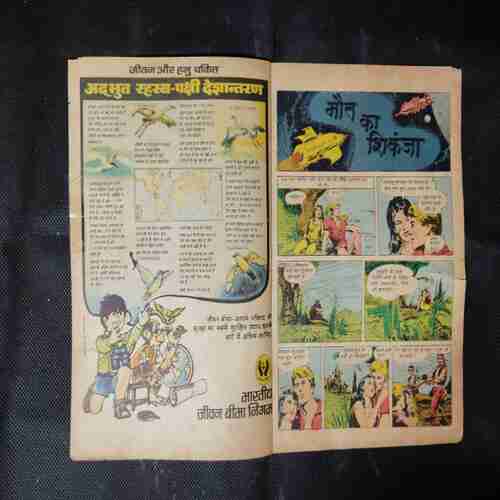 MAUT KA SHIKANJA