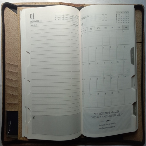 Executive Diary (2018)