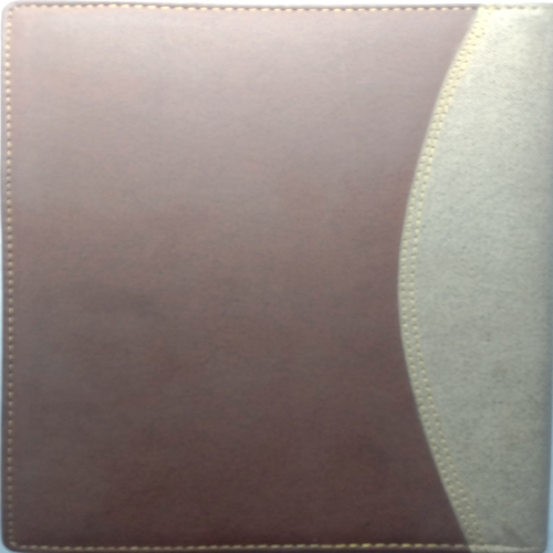 Executive Diary (2018)