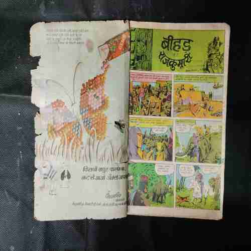 BEEHAD KI RAJKUMARI
