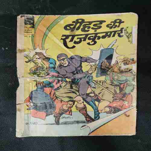 BEEHAD KI RAJKUMARI