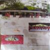 Osho Times ( March 2013 )