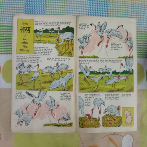 TINKLE (N0-16)
