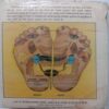 Acupressure : Prakritik Rog Upchar