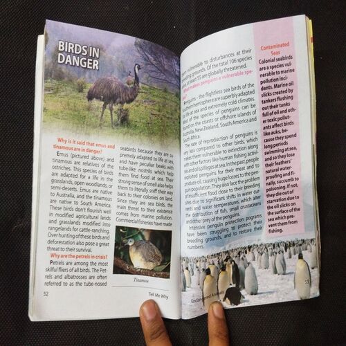 Tell Me Why - Endangered Animals ( October 2010 ) .