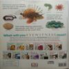Eyewitness Ocean (Include Free Wallchart)
