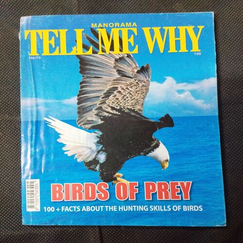 Tell Me Why - Birds Of Prey ( October 2012 ) .