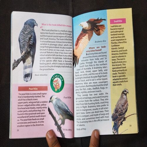 Tell Me Why - Birds Of Prey ( October 2012 ) .