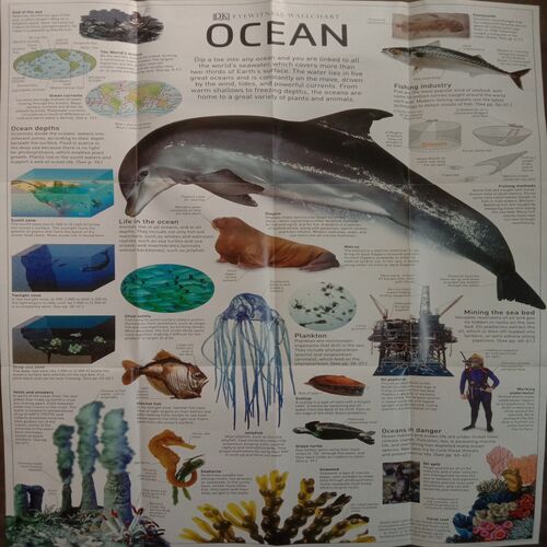 Eyewitness Ocean (Include Free Wallchart)
