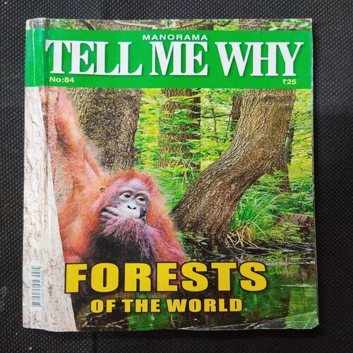 Tell Me Why - Forest Of The World ( September 2013 ) .