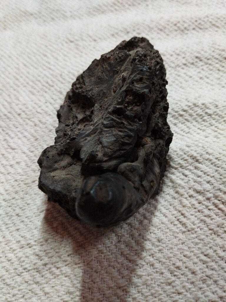 Meteorite(Composition not known)