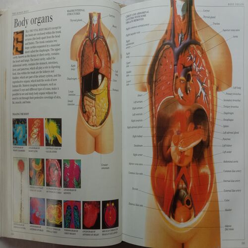 Ultimate Visual Dictionary
