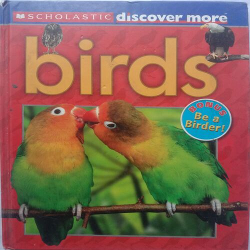 Birds