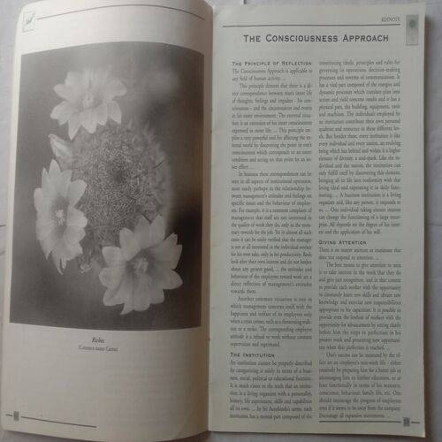 The Awakening Ray (Jul/Aug'2002)
