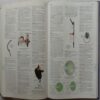 Illustrated Oxford Dictionary