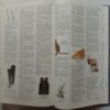 Illustrated Oxford Dictionary