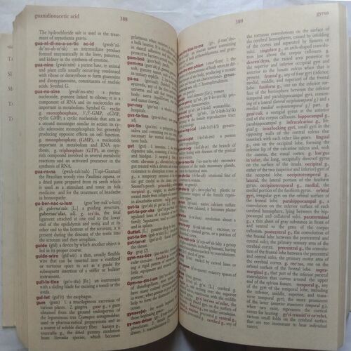 Dorland's Pocket Medical Dictionary 27th Edition