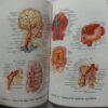 Dorland's Pocket Medical Dictionary 27th Edition