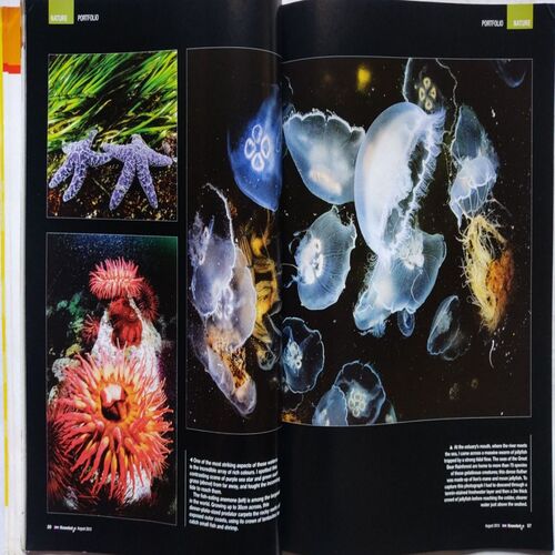 Knowledge ( August 2013 )