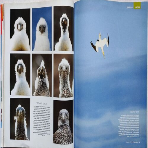Knowledge ( December 2013 )
